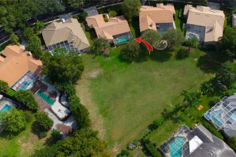 Villa ou maison à vendre à Palm Harbor, Floride: 3 chambres, 243.31 m2 № 2410687 - photo 7