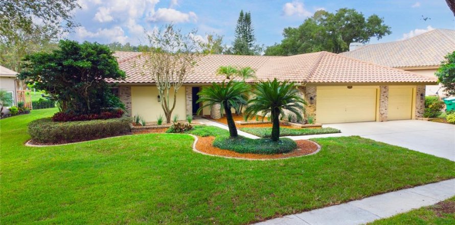 Villa ou maison à Palm Harbor, Floride 3 chambres, 243.31 m2 № 2410687