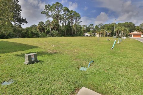 Terrain à New Smyrna Beach, Floride № 2361553