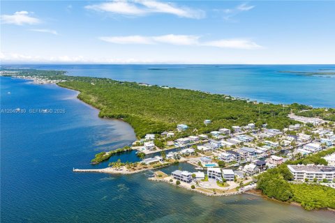 House in Key Largo, Florida 4 bedrooms № 2261312 - photo 5