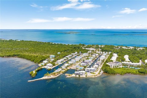 Villa ou maison à Key Largo, Floride 4 chambres № 2261312