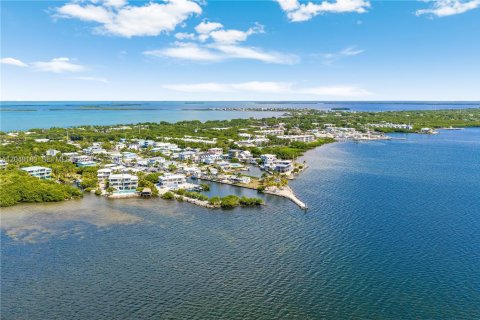 House in Key Largo, Florida 4 bedrooms № 2261312 - photo 4