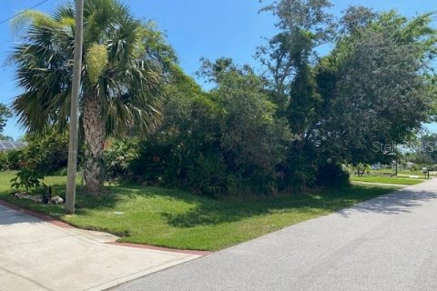 Terreno en venta en Palm Coast, Florida № 1833647 - foto 2
