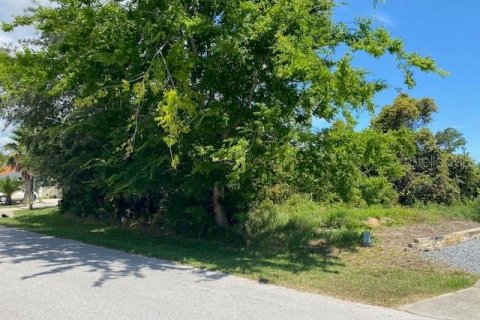 Terreno en venta en Palm Coast, Florida № 1833647 - foto 4