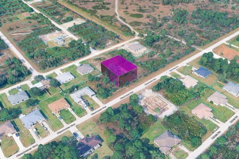 Купить земельный участок в Лихай-Эйкерс, Флорида № 2019828 - фото 2