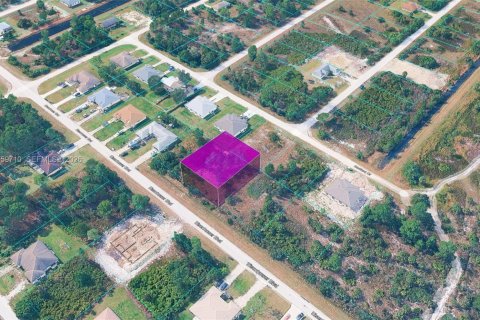 Купить земельный участок в Лихай-Эйкерс, Флорида № 2019828 - фото 3