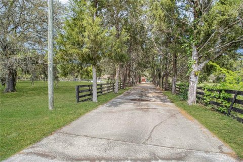 Casa en alquiler en Belleview, Florida, 3 dormitorios, 167.69 m2 № 2221473 - foto 3