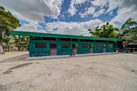 Купить коммерческую недвижимость в Майами, Флорида № 1962905 - фото 15