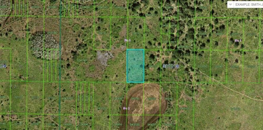 Terreno en Frostproof, Florida № 2164045