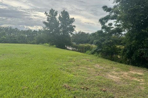 Land in Mount Dora, Florida № 1810826 - photo 21