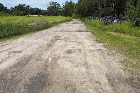 Land in Mount Dora, Florida № 1810826 - photo 12