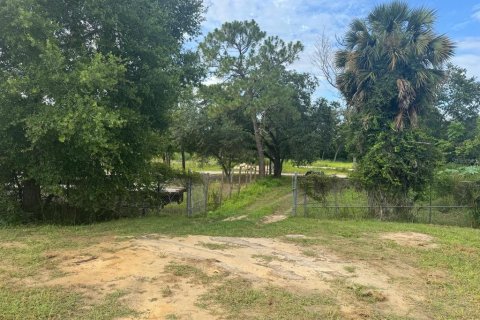 Land in Mount Dora, Florida № 1810826 - photo 25