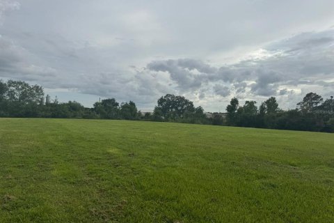 Land in Mount Dora, Florida № 1810826 - photo 6