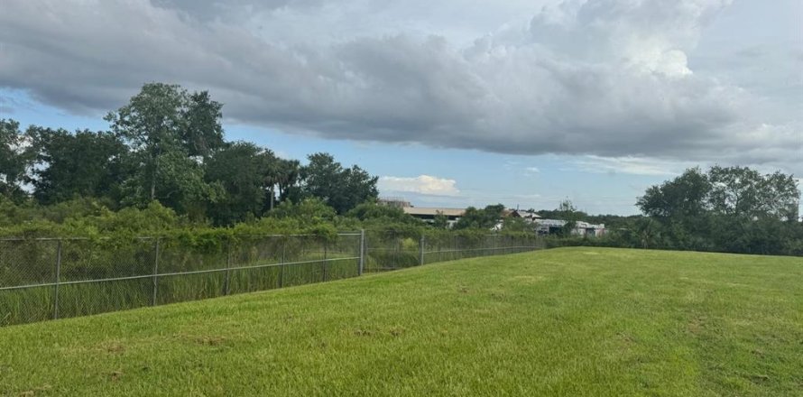 Land in Mount Dora, Florida № 1810826
