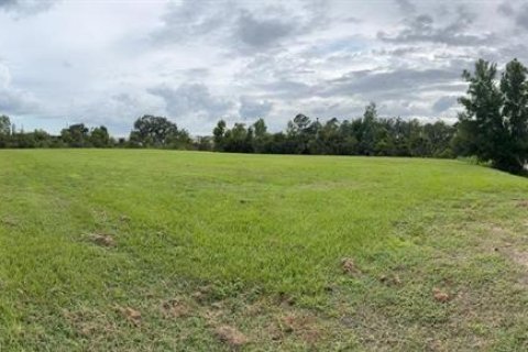 Land in Mount Dora, Florida № 1810826 - photo 14