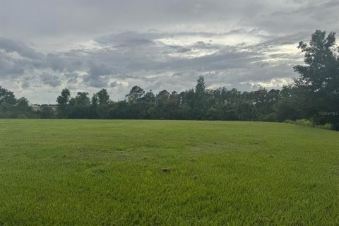 Land in Mount Dora, Florida № 1810826 - photo 7