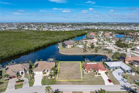 Terreno en venta en Punta Gorda, Florida № 1544500 - foto 8