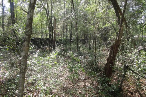 Land in Silver Springs Shores, Florida № 2164284 - photo 5