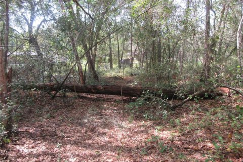 Land in Silver Springs Shores, Florida № 2164284 - photo 2