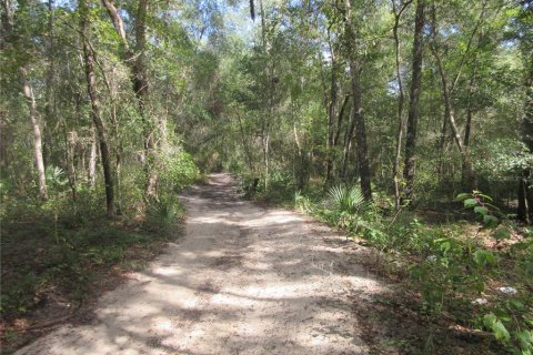 Land in Silver Springs Shores, Florida № 2164284 - photo 15