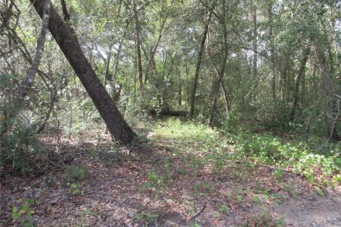 Land in Silver Springs Shores, Florida № 2164284 - photo 4