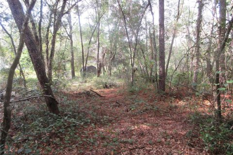 Land in Silver Springs Shores, Florida № 2164284