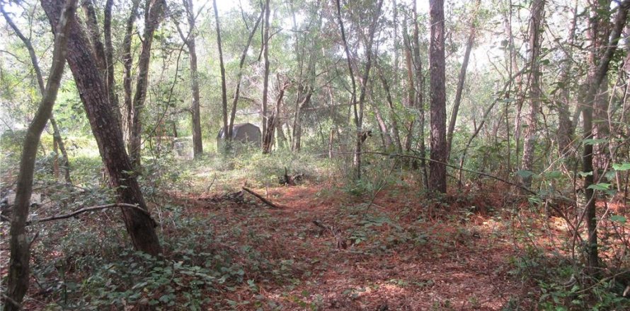 Land in Silver Springs Shores, Florida № 2164284