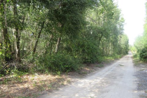 Land in Silver Springs Shores, Florida № 2164284 - photo 7