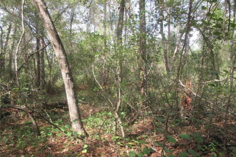 Land in Silver Springs Shores, Florida № 2164284 - photo 6