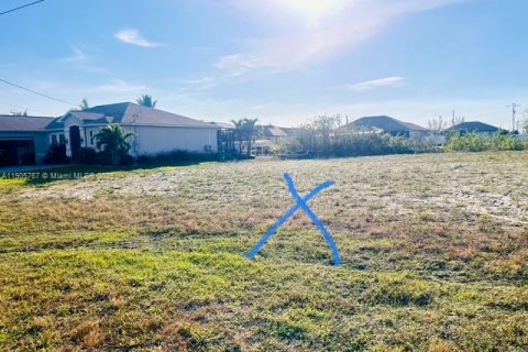 Land in Cape Coral, Florida № 1957028 - photo 12