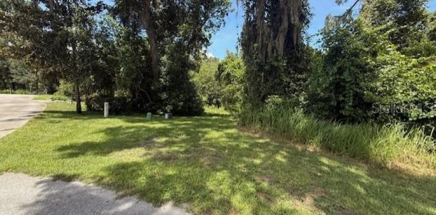 Land in Sorrento, Florida № 1885868
