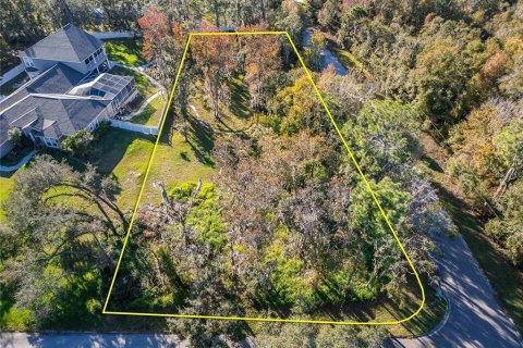 Land in Riverview, Florida № 1647950 - photo 2