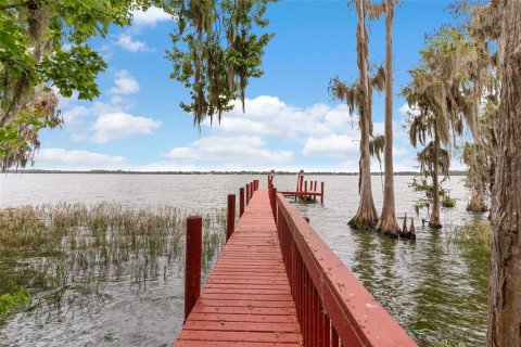 House in Thonotosassa, Florida 5 bedrooms, 403.47 sq.m. № 2223296 - photo 8