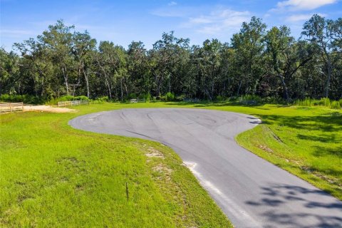 Terreno en venta en Brooksville, Florida № 2108511 - foto 2
