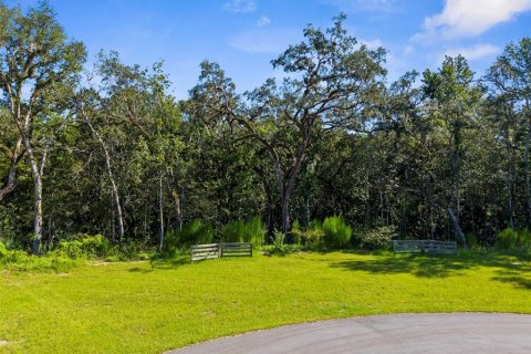 Terreno en venta en Brooksville, Florida № 2108511 - foto 6