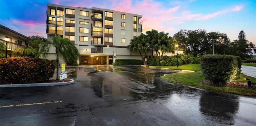 Condo à Saint Petersburg, Floride, 1 chambre № 1681404