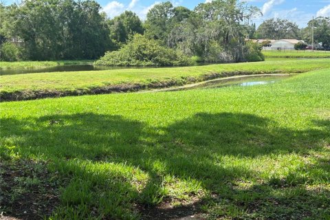 Condo in New Port Richey, Florida, 2 bedrooms  № 1690963 - photo 14