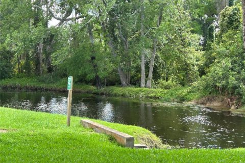 Condo in New Port Richey, Florida, 2 bedrooms  № 1690963 - photo 1