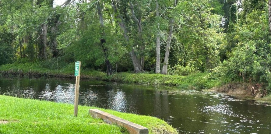 Condo in New Port Richey, Florida, 2 bedrooms  № 1690963