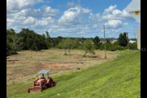 Land in Frostproof, Florida № 1217768 - photo 5