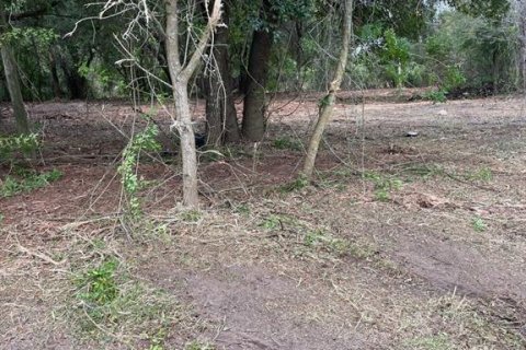 Land in Frostproof, Florida № 1217768 - photo 4