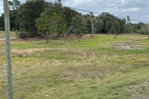 Land in Frostproof, Florida № 1217768 - photo 3