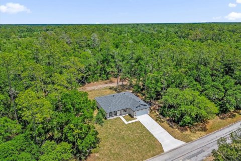 Villa ou maison à vendre à Citrus Springs, Floride: 4 chambres, 169.73 m2 № 2204827 - photo 7