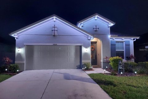Villa ou maison à vendre à Wesley Chapel, Floride: 4 chambres, 171.59 m2 № 2410356 - photo 2