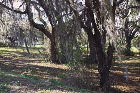 Terrain à vendre à Tavares, Floride № 2142422 - photo 23