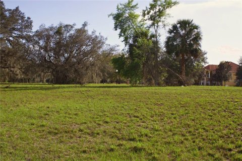 Terrain à vendre à Tavares, Floride № 2142422 - photo 16