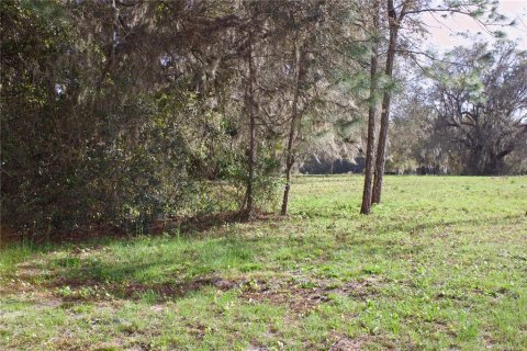 Terrain à vendre à Tavares, Floride № 2142422 - photo 20