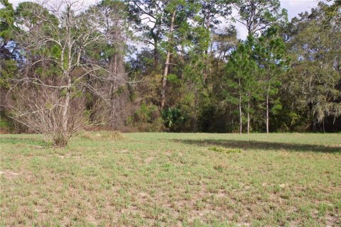 Terrain à vendre à Tavares, Floride № 2142422 - photo 10