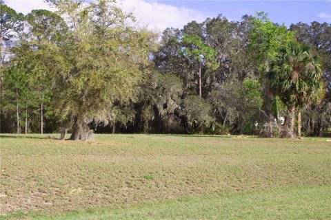 Terrain à vendre à Tavares, Floride № 2142422 - photo 8