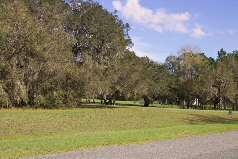 Terrain à vendre à Tavares, Floride № 2142422 - photo 5